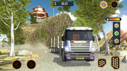 Truck Driver Mountain Cargo Driving screenshot 2