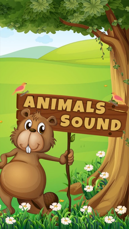 Animal Sounds - Piano