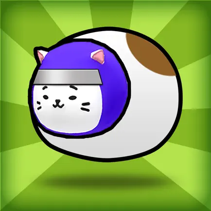 Cat Ninja! Cheats