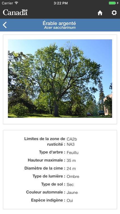 Mon Arbre screenshot-3