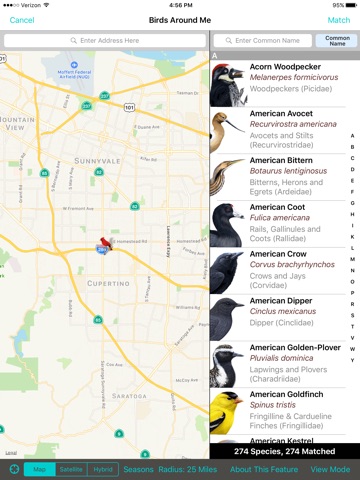 iBird Canada Guide to Birds screenshot 3