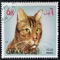 Postage Cats