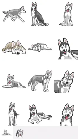 Game screenshot HuskyMoji - Husky Emoji & Sticker mod apk