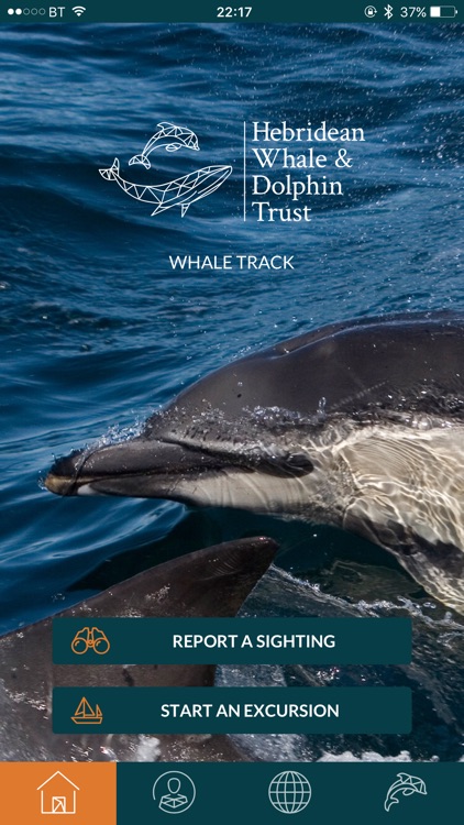 Whale Track