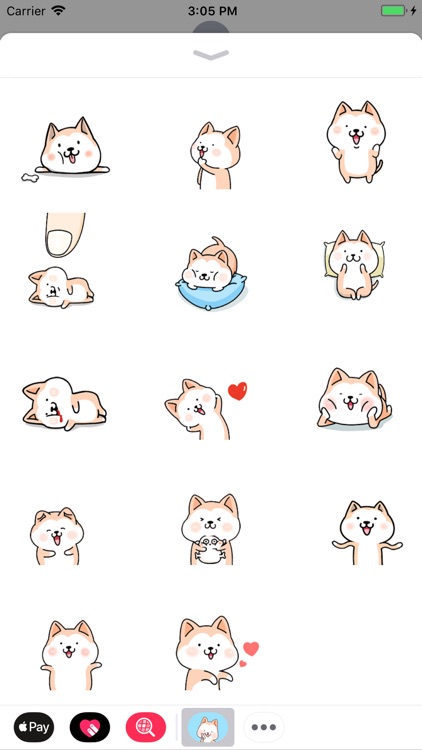Hachi:Akita Dog Animated Emoji