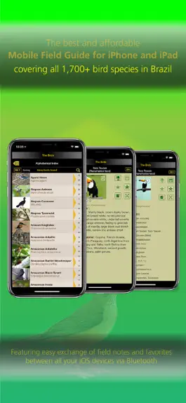 Game screenshot The Birds of Brazil mod apk