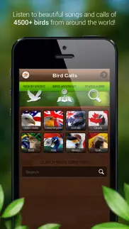 bird songs - bird call & guide iphone screenshot 1