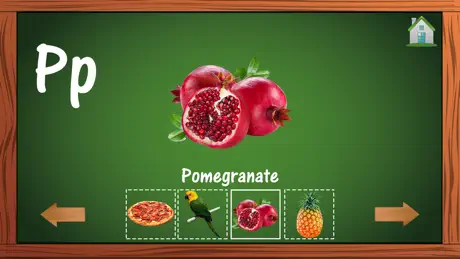 ABC English Alphabets Letters