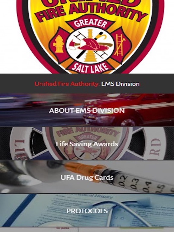 Screenshot #4 pour UFA EMS Division