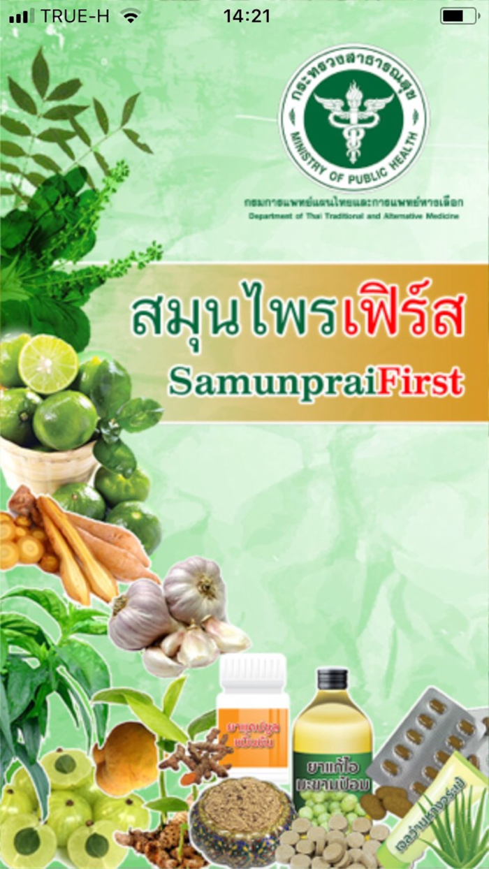 สมุนไพรเฟิร์ส