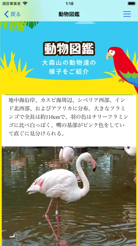 大森山動物園ナビ