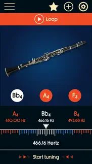 clarinet tuner iphone screenshot 3