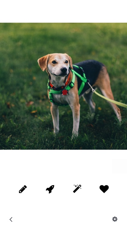 WM : Add Watermark to Your Photos screenshot-0