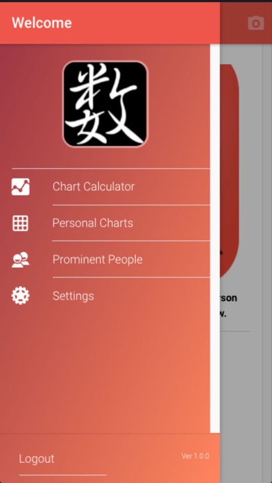 Numerology Practitioner Tool screenshot 2