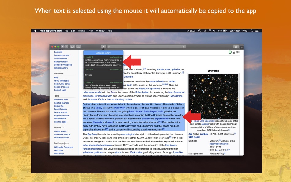 #2. Auto copy for Safari (macOS) 由: luca calciano