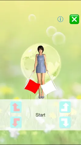 Game screenshot Raise Flags hack