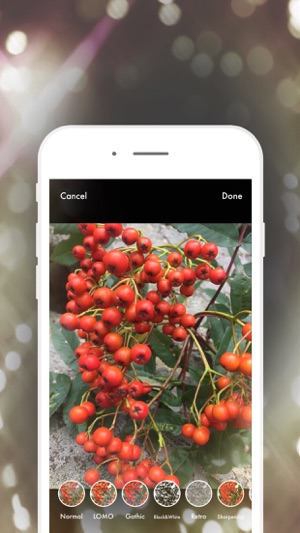 Cute+ PRO : Photos editor(圖2)-速報App