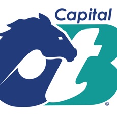 Activities of Capital OTB