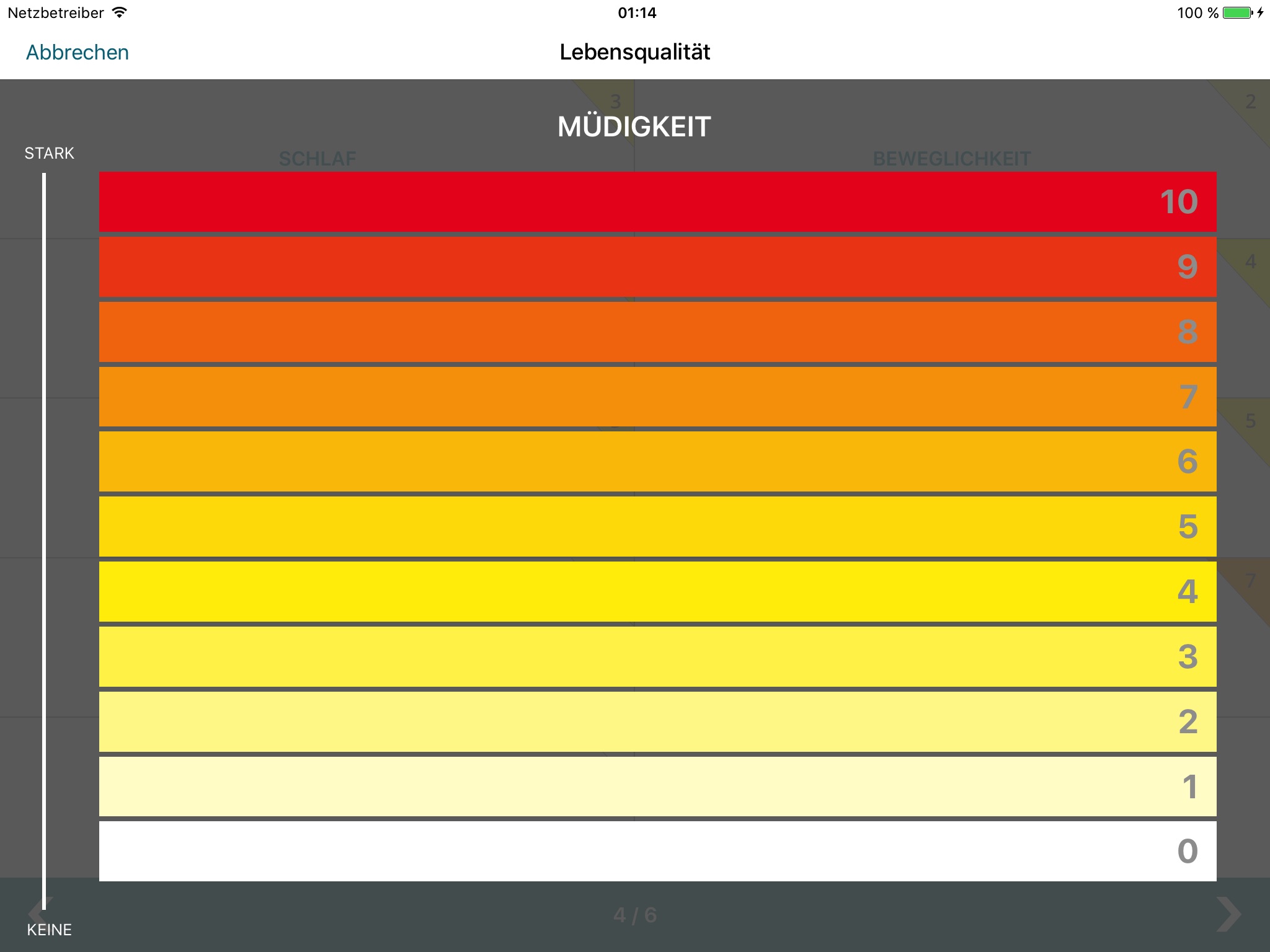 Schmerztagebuch - Pain Tracer screenshot 4