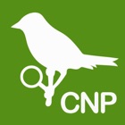 Coppell Nature Park Guide