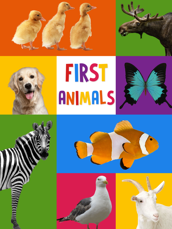 First Words for Baby Animals - Premium