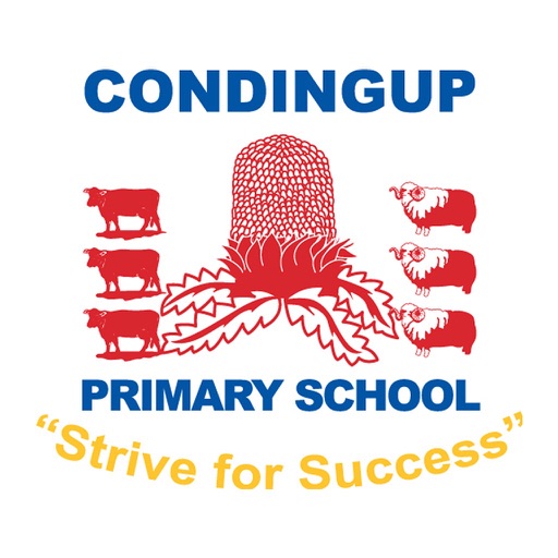 Condingup Primary School icon