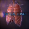 Virtual Lung