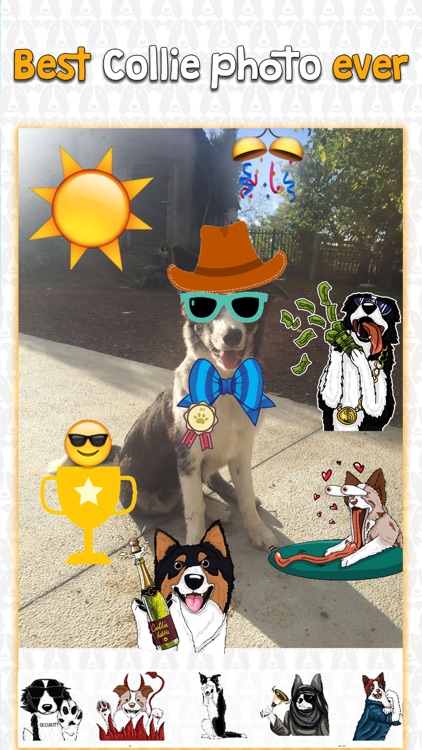 CollieMoji Photo Editor screenshot-4