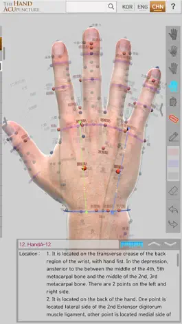 Game screenshot Hand Acupuncture mod apk