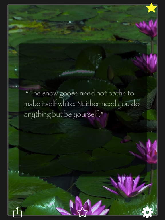 Screenshot #6 pour Zen Philosophy