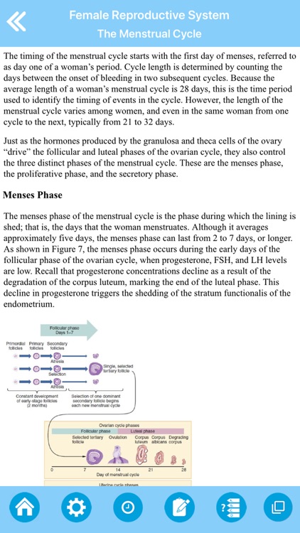 The Female Reproductive System screenshot-4