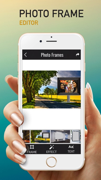 Hoarding Frames Editor