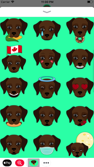 Dark Chocolate Labrador(圖4)-速報App