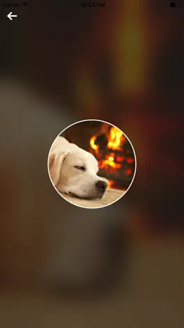 Game screenshot 安睡天使 apk