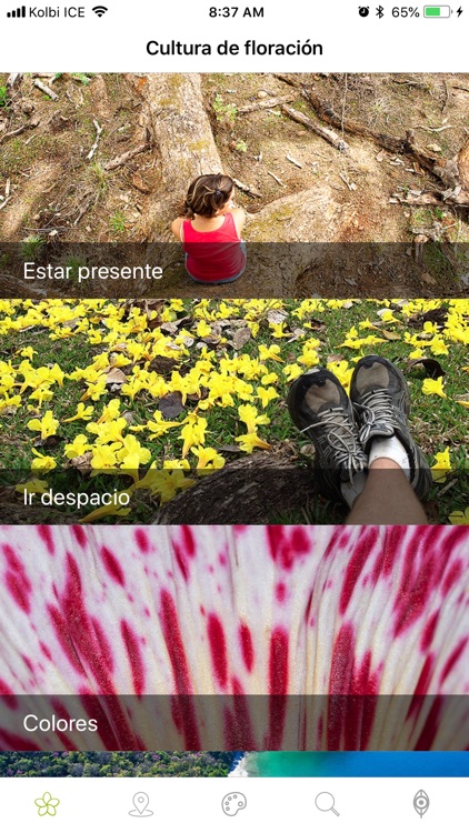 Ojeadores screenshot-3