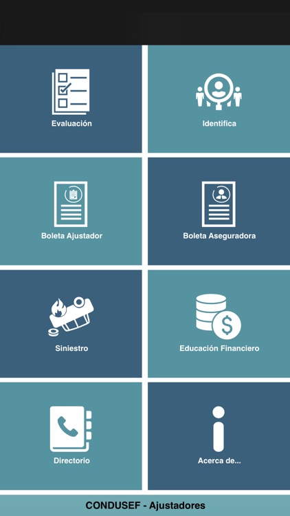 Ajustadores de Seguros de Auto