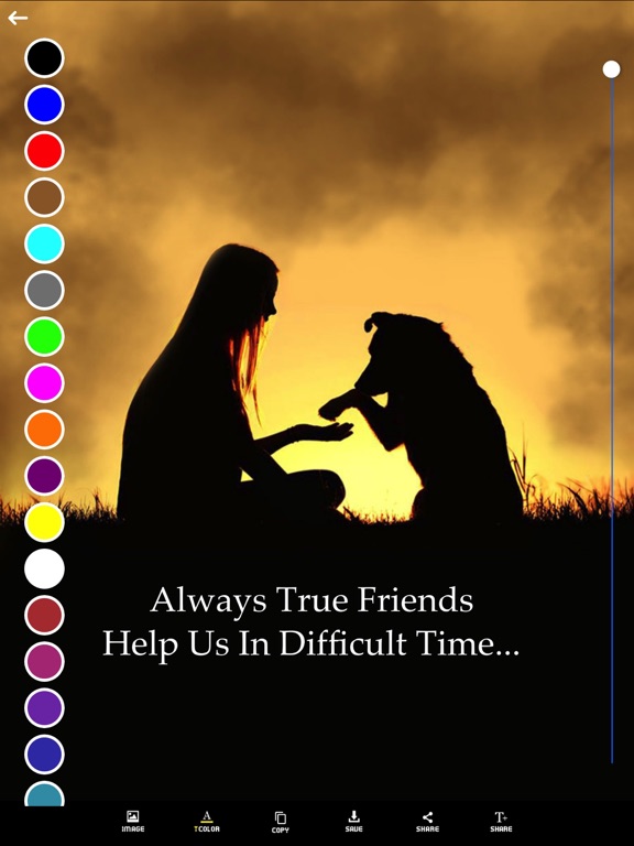 Friendship Status Best Friends Quotes & Messages Friendship Status Best Friends Quotes & Messages