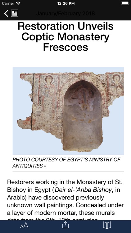 Biblical Archaeology Review screenshot-5