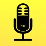 Audio Notebook Pocket App Problems