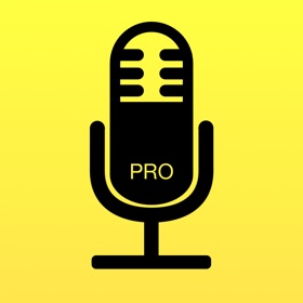 Audio Notebook Pocket