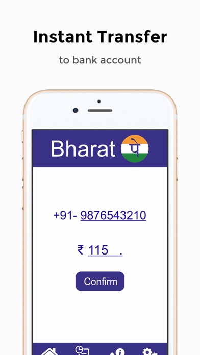 BharatPe screenshot 2