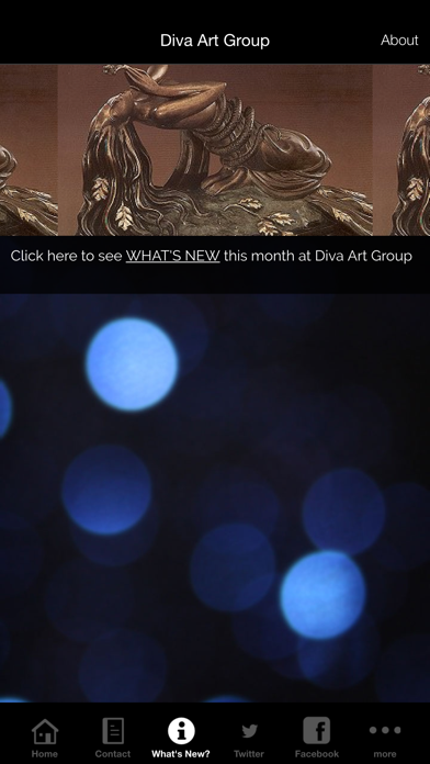 Diva Art Group screenshot 2