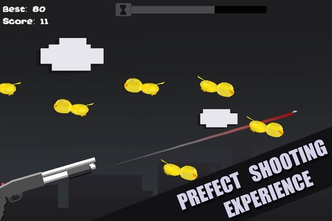 Duck vs Shotgun screenshot 2