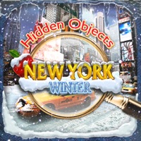Hidden Objects New York City Winter Object Time