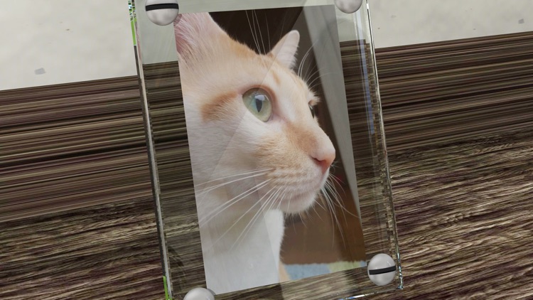 K's Villa Room Escape