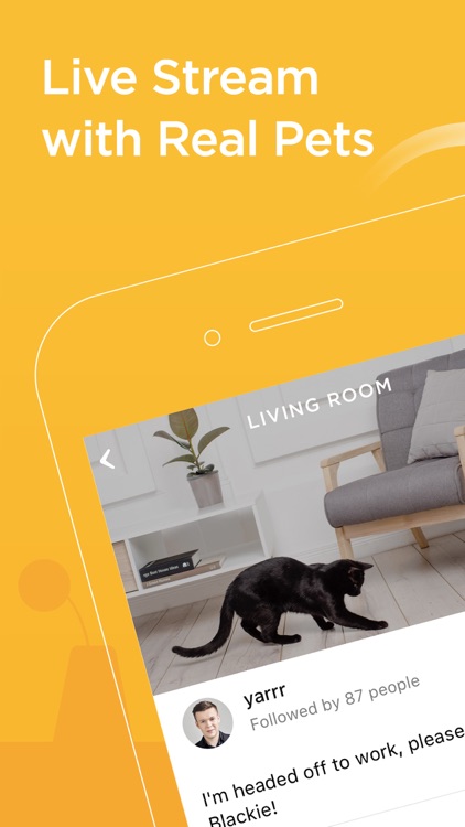 Petcube screenshot-0