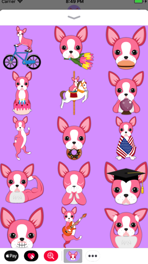 Valentine's Day Boston Terrier(圖1)-速報App