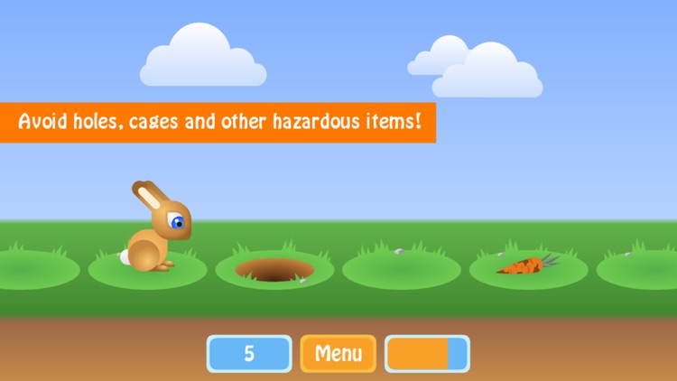 Bunny Rabbit Jump Race