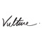VULTURE is an independent space to explore ideas that would influence a new establishment of a younger creative class
