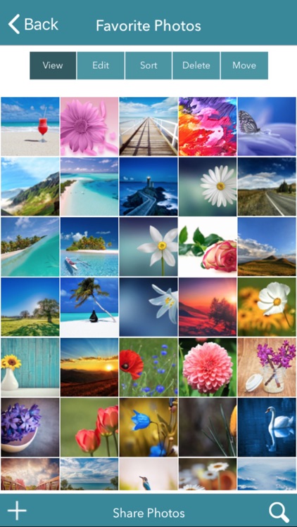Photo Album Private Organizer